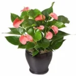 Decoration Artificial Table Flower