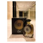 Dhamma OUD ADDICT EDP PERFUME SPRAY 100ML