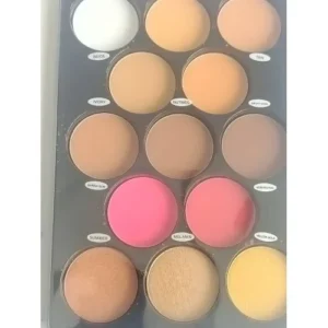 Daisy UP 13 In 1 Professional Blush & Powder Bronzer Pallette