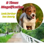 OIPETLUCK High Resolution High Power Outdoor Monoculars - Image 2