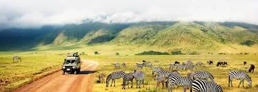 List of the Best African Countries to Travel To