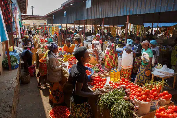 Groceries and Packaged Foods