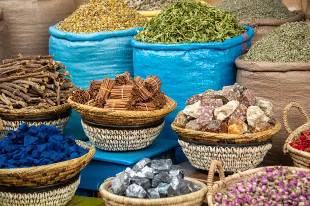 Herbal Remedies for Common Illnesses