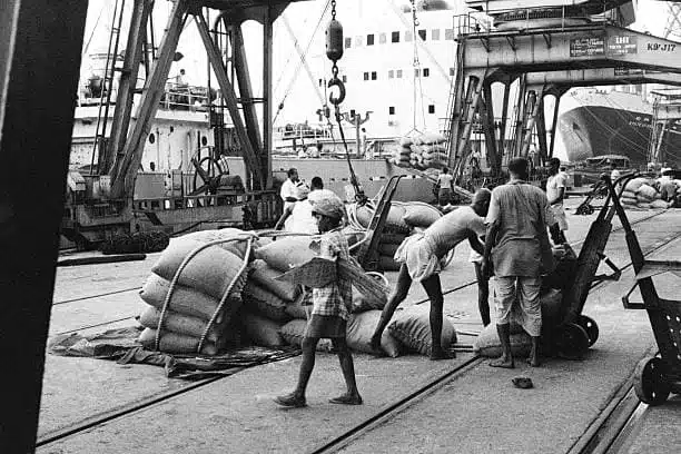 How to Start an Agro Export Business in Nigeria