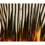 Men’s Oversized Vintage Shirt – Velmora Inferno Shirt – Flame & Stripe Blend - Image 3