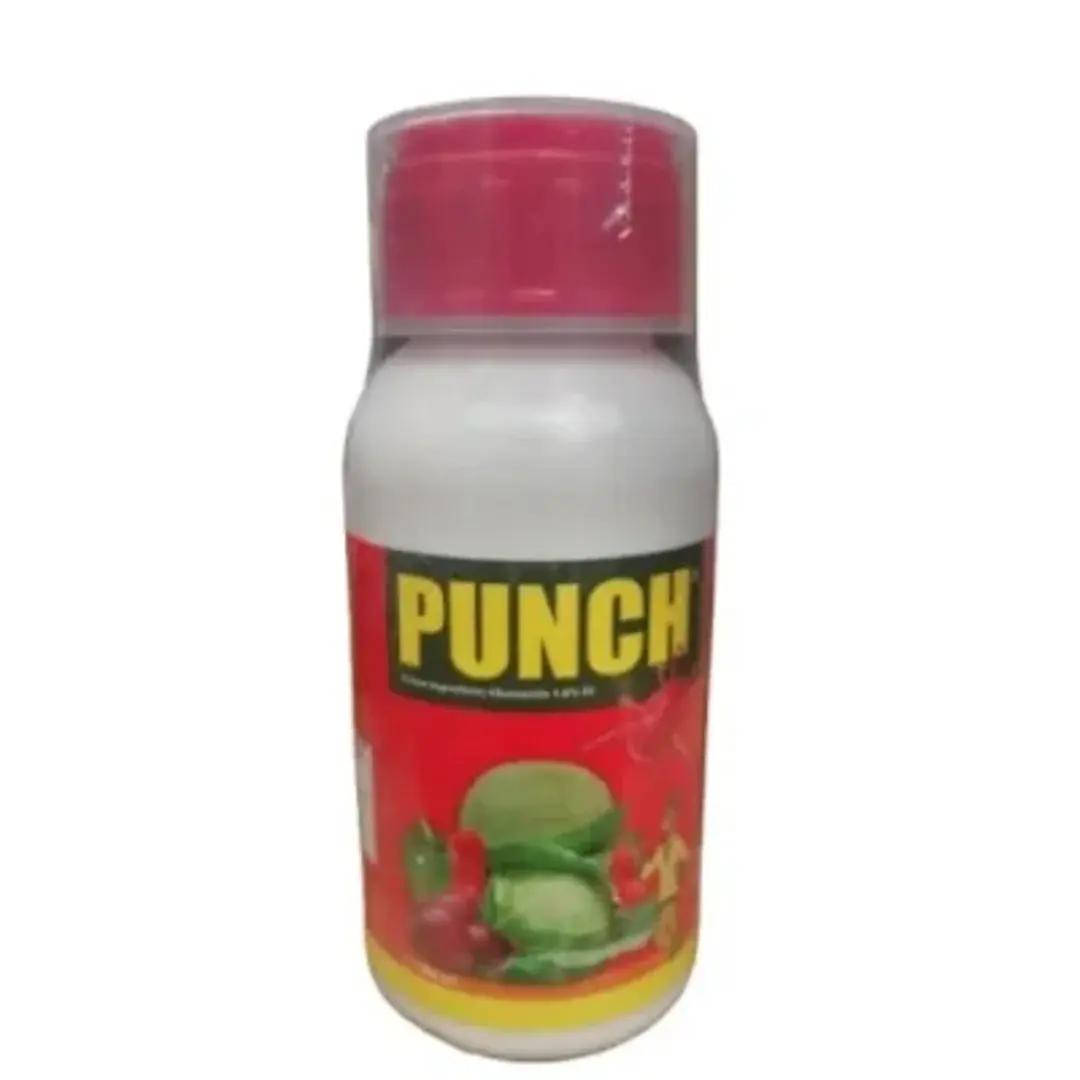 115366_1748093971 Punch Insecticide Bedbug Killer -100ml - Image 1