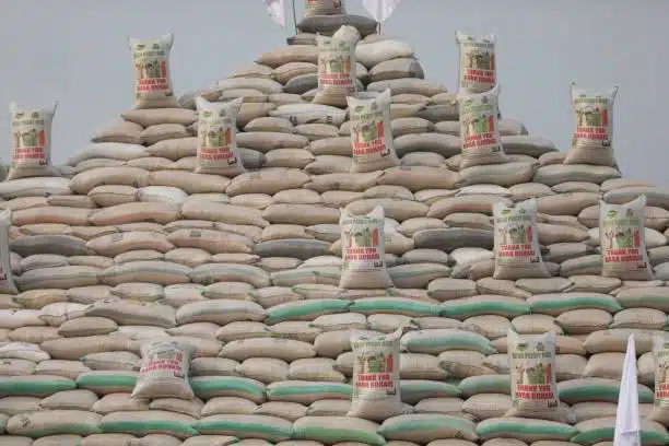 How to Start an Agro Export Business in Nigeria