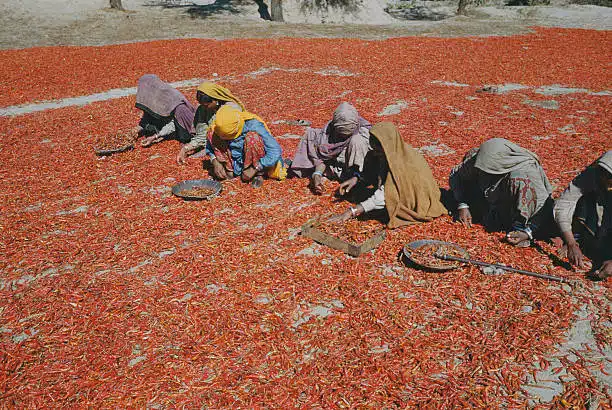 Agricultural Products to Export