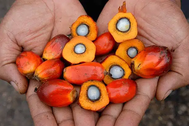 Best Logistics and Shipping Companies for Exporters