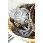 Premium Dry Cat Fish - 8 Pieces | Nutrient-Rich Snack & Food Topper for Cats - Image 2