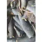 Ponmo Ijebu - Premium Dried Cow Skin - 25 Pieces - Authentic Nigerian Delicacy - Image 3