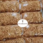 Top 10 Lucrative Agricultural Export Opportunities in Africa