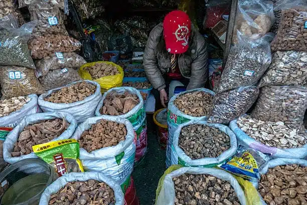 How to Start a Profitable Maca Syrup Export Business in Africa