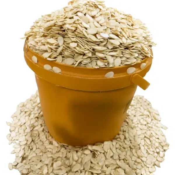 GoldenTots – Melon: A Custard - Image 2