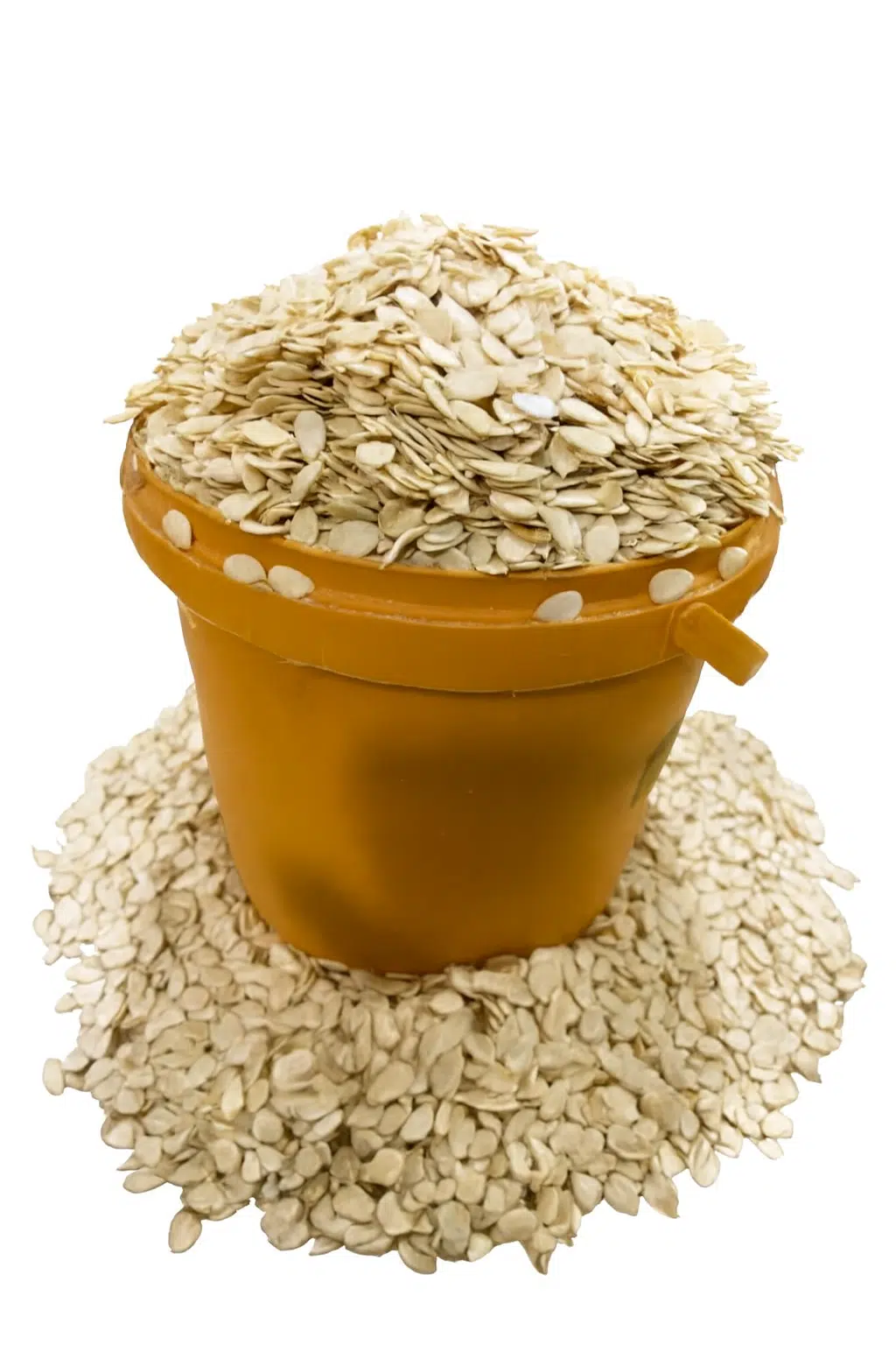 GoldenTots – Melon: A Custard