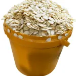 GoldenTots – Melon: A Custard