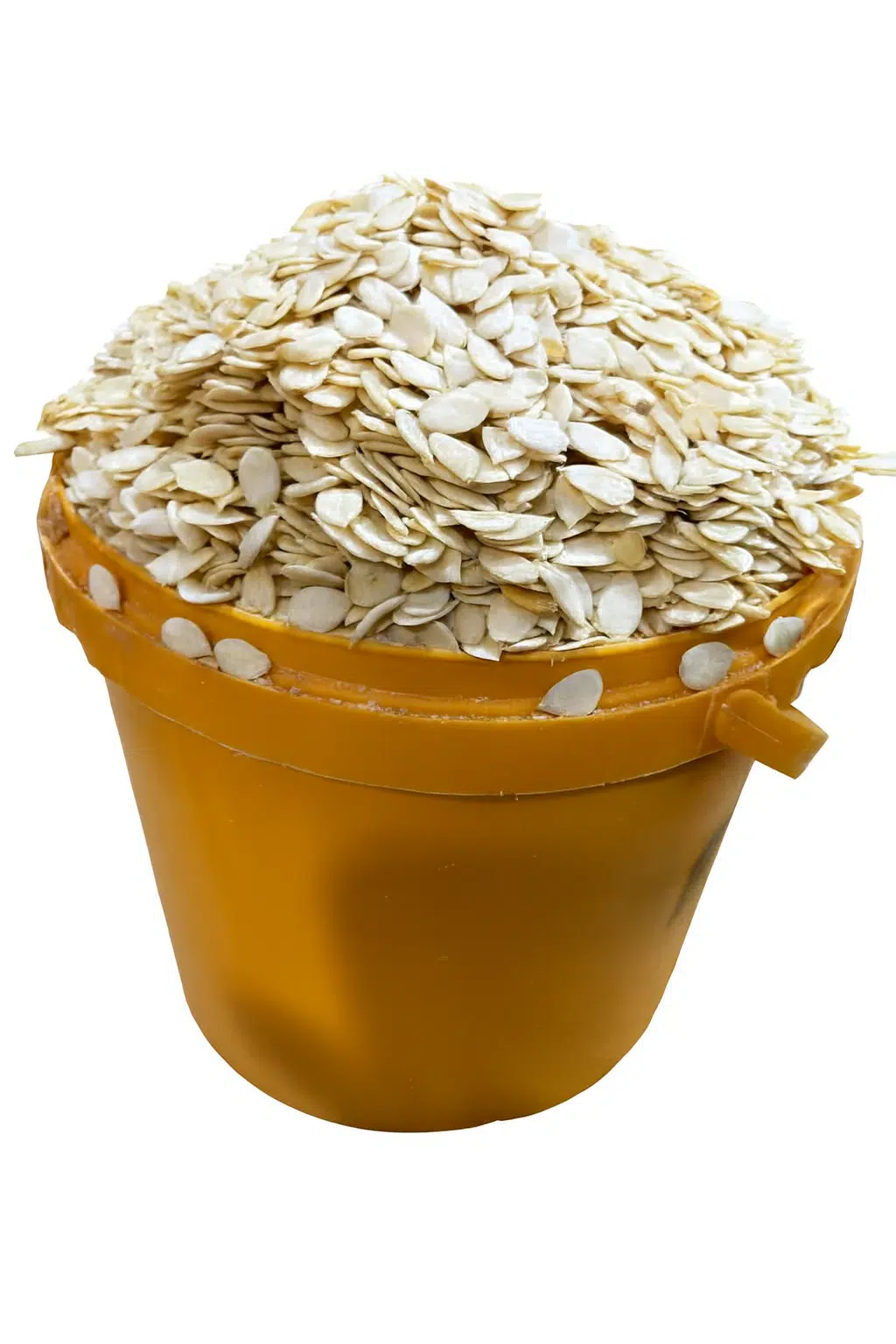 GoldenTots – Melon: A Custard