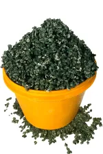 Periwinkle: A Custard