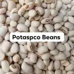 Bag of 30 Potaspco Custard Beans – ST SeafoodStuff & More