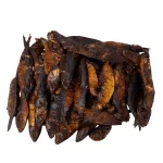 Fresh Mangala Fish - Premium Quality for Delicious Meals