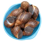 Kenvic Edibles – Medium-Sized Snails (20 pcs)