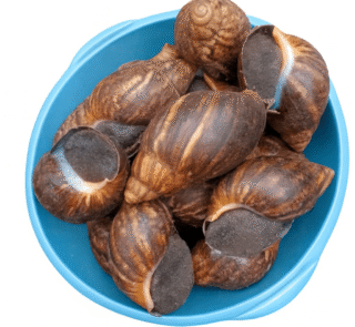 Copilot 20260107 231043