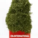 Premium Dehydrated Afang Leaves - Authentic Nigerian Flavor & Convenience