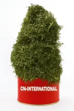Premium Dehydrated Afang Leaves - Authentic Nigerian Flavor & Convenience