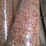 CN-International Premium Dried Shrimp