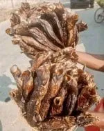Dried Catfish - Image 2