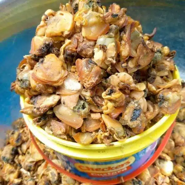 Dried Clams – CN-INTERNATIONAL - Image 2