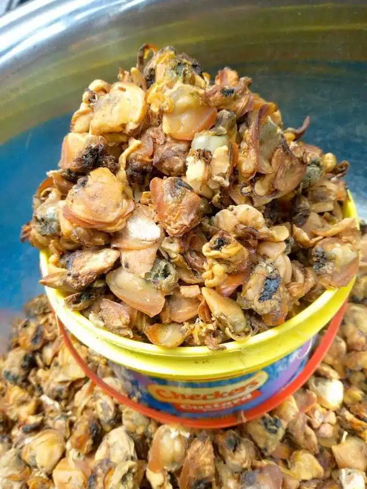 Dried Clams – CN-INTERNATIONAL