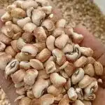 Honey beans custard rubber