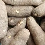 One Tuber of Yam