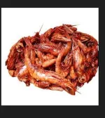Dried Shrimp/Prawn (Paint Rubber) - Image 3