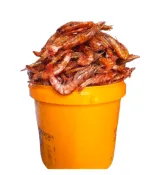 Dried Shrimp/Prawn (Paint Rubber)