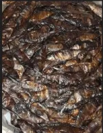 Fresh Mangala Fish - Premium Quality for Delicious Meals - Image 2