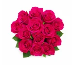 Valentine’s Day Assorted Dozen Roses