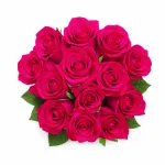 Valentine’s Day Assorted Dozen Roses