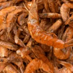 Dried Shrimp