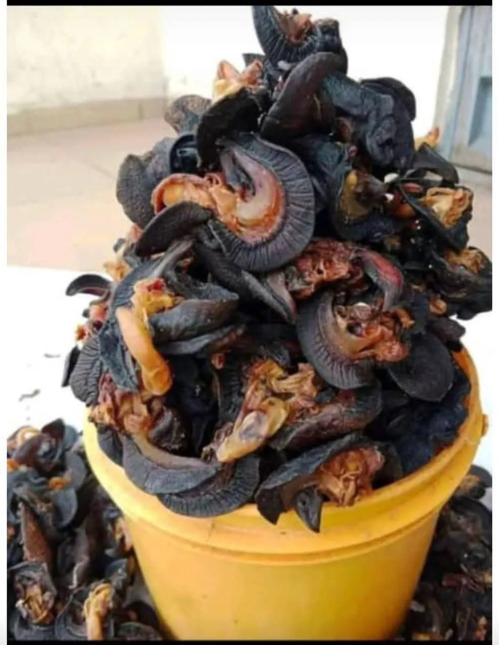 “Big Size – 100 pieces