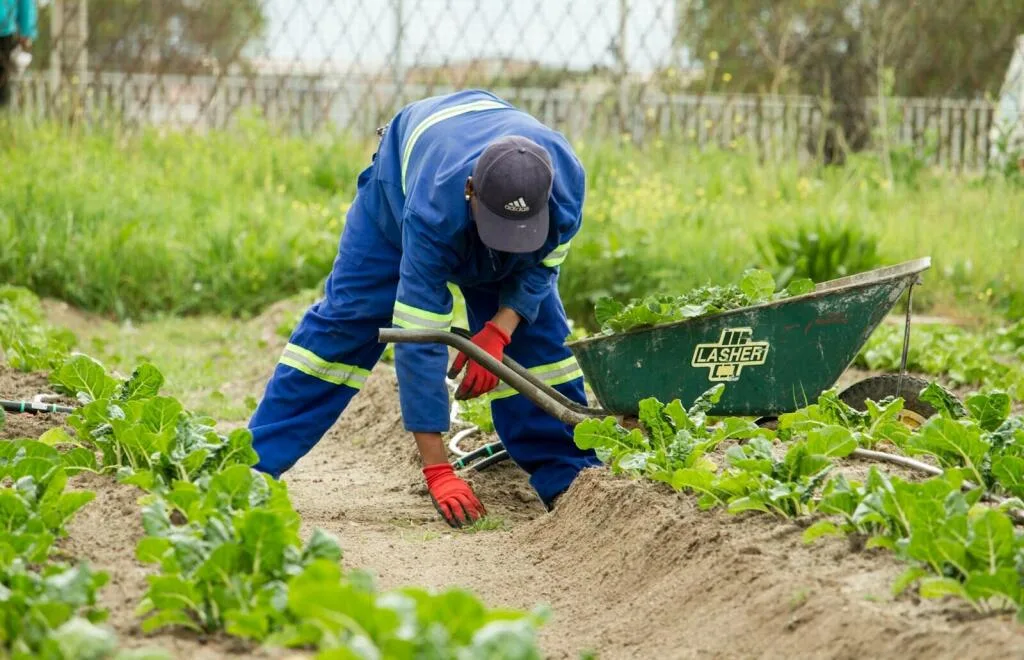 How to Secure Reliable Bulk Agro Suppliers in Africa