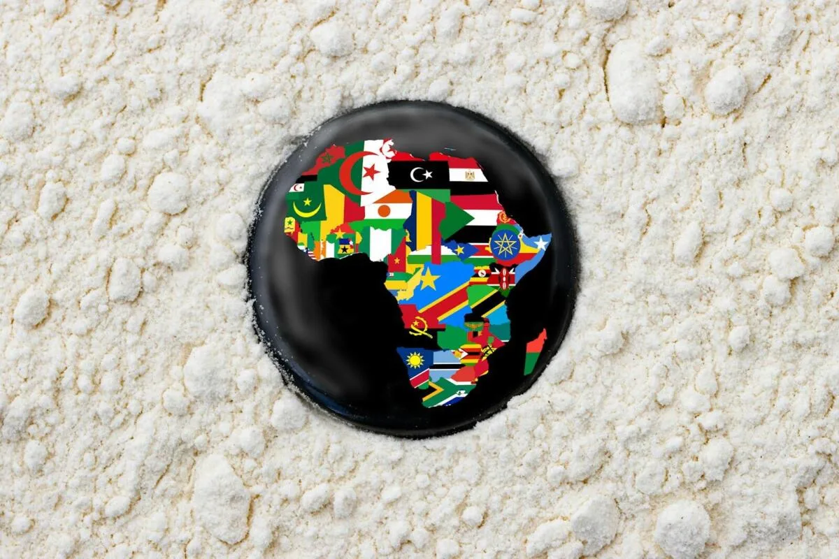 Exploring Ecommerce Platforms in Africa