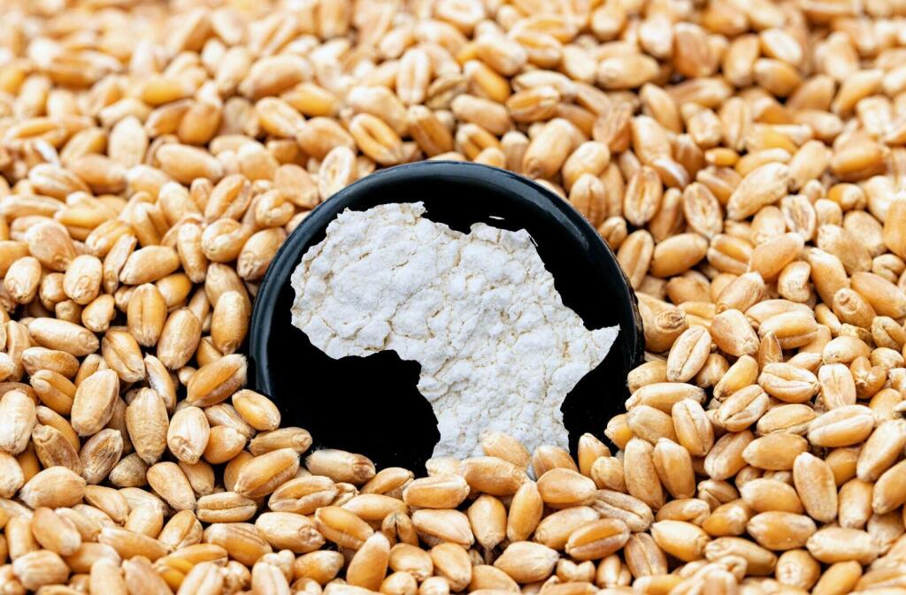 A Buyers Guide to Premium African Agro