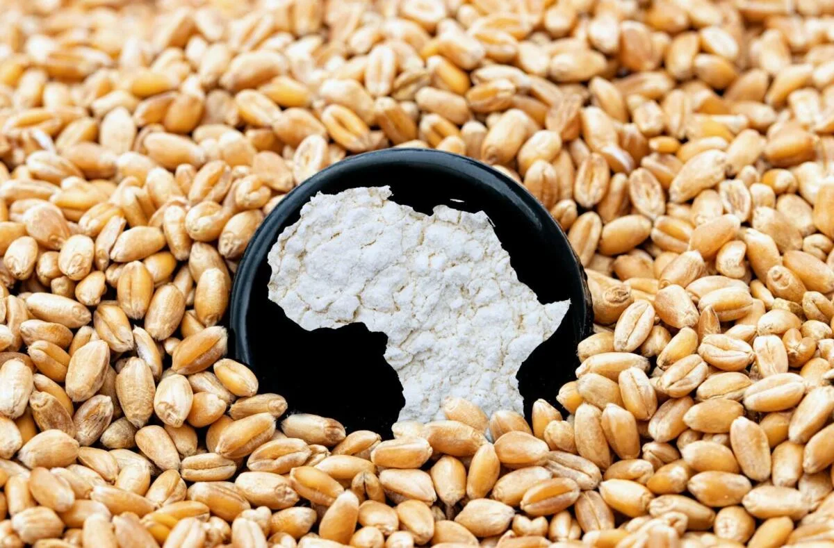 A Buyers Guide to Premium African Agro