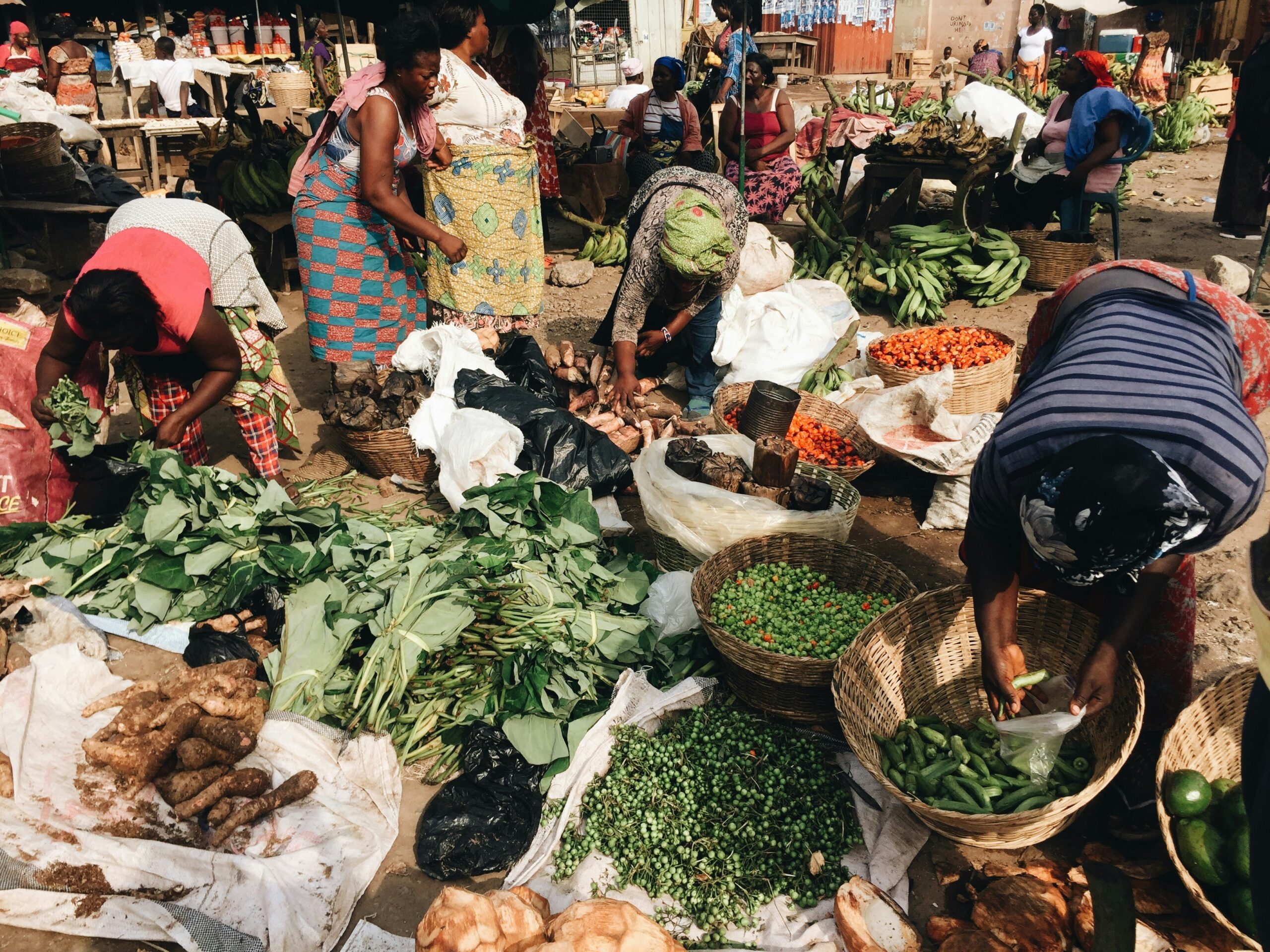 How to Start Agricultural Product Exportation from Africa to the International Market