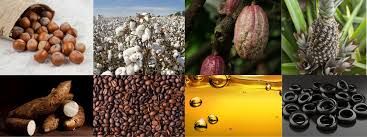 Agro Products Africa