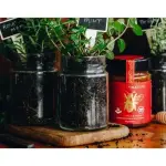 MGO 970+ UMF 22+ Manuka Honey 250g - Premium New Zealand Certified - Image 3