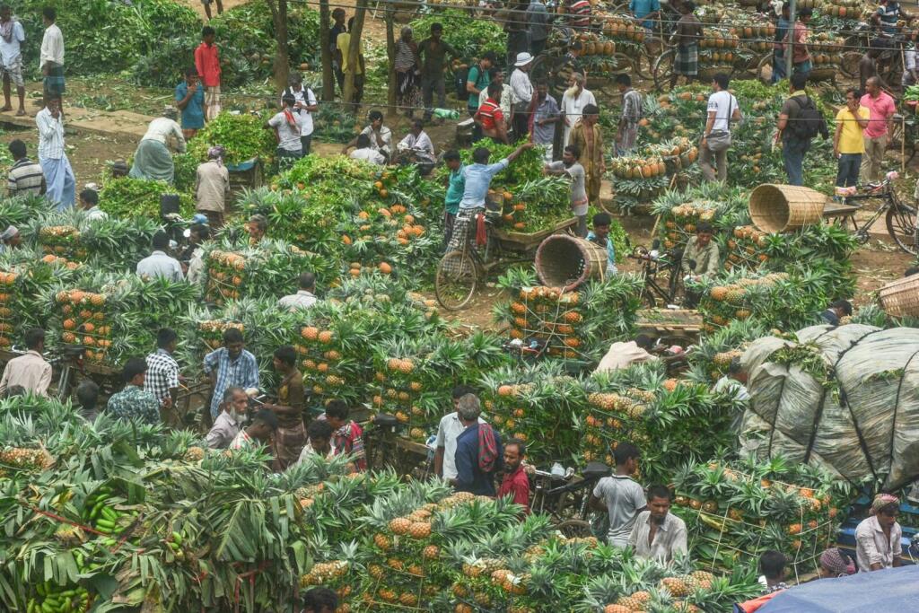 African Agro Exports