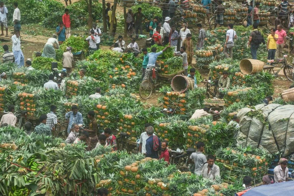 African Agro Exports